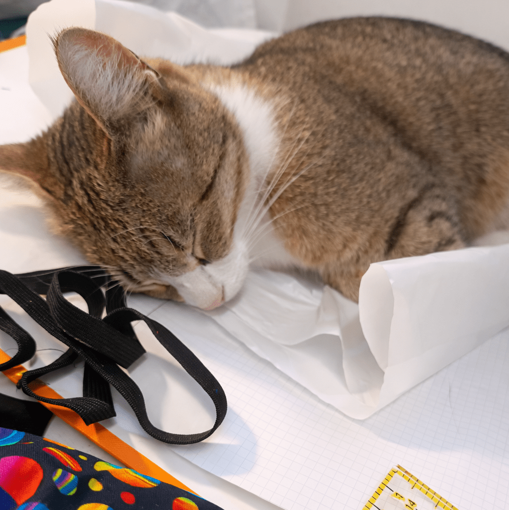 gatta che dorme nel laboratorio su tessuti